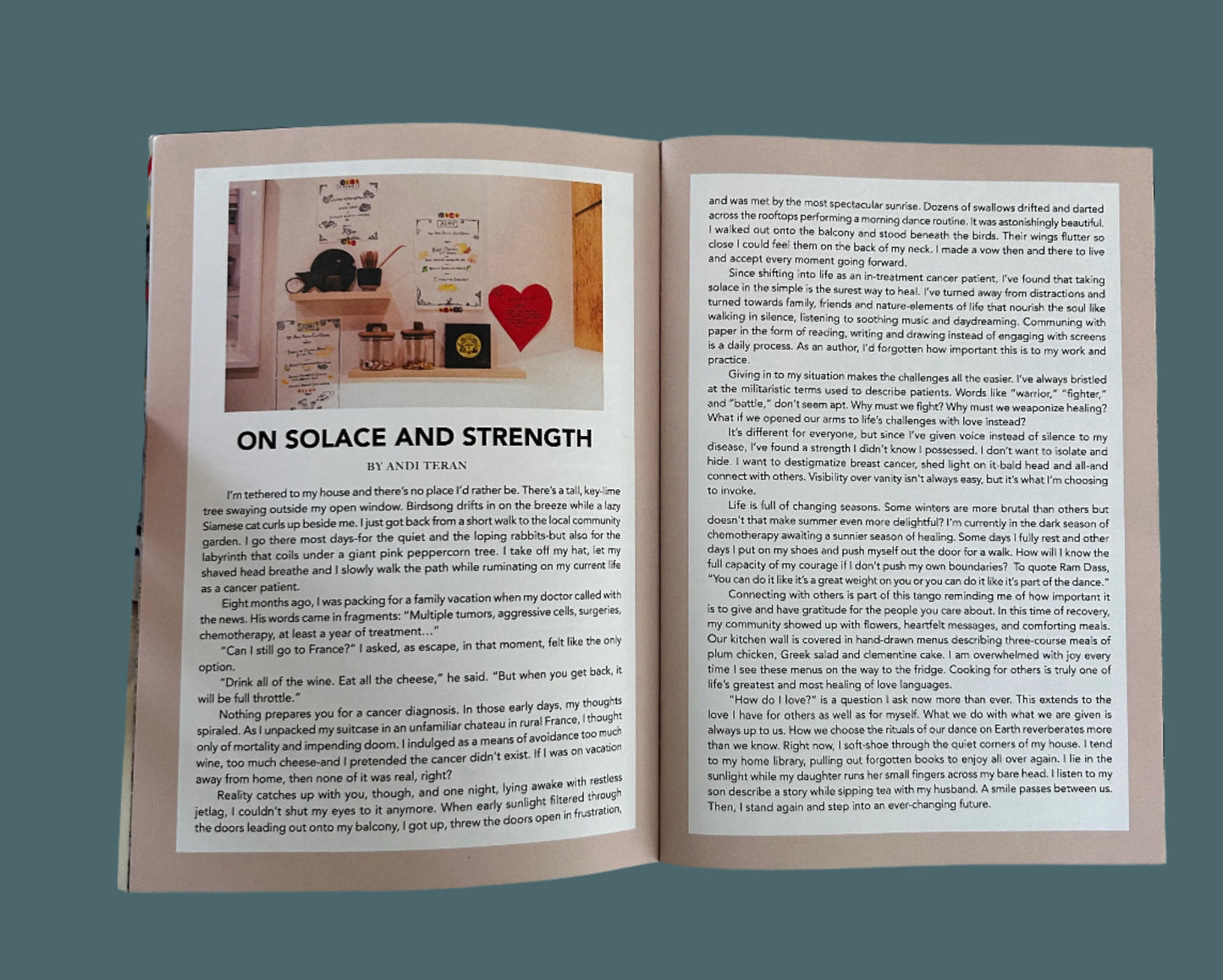 Out Of Eden's My Kitchen Volume 9