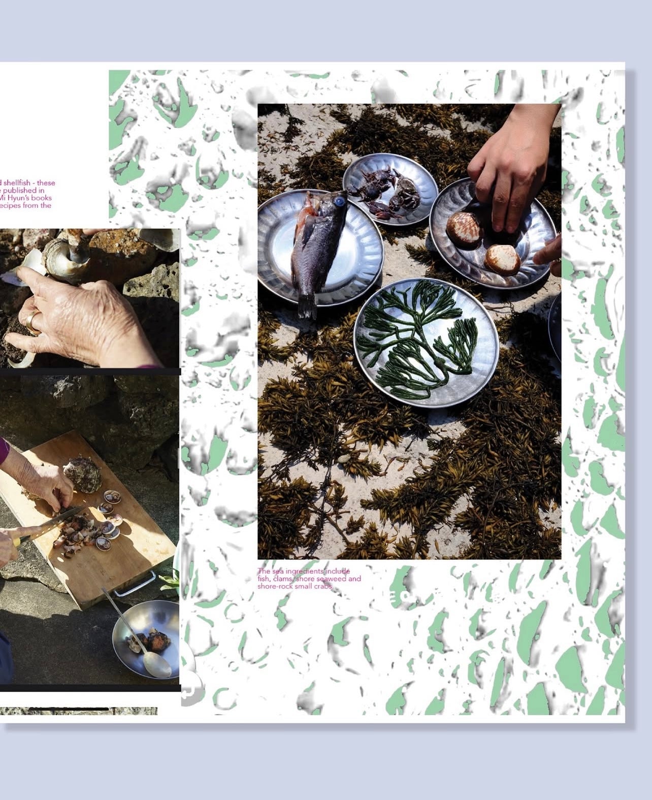 Edens Made By Hand Journal The Land and Sea Issue Pre Order