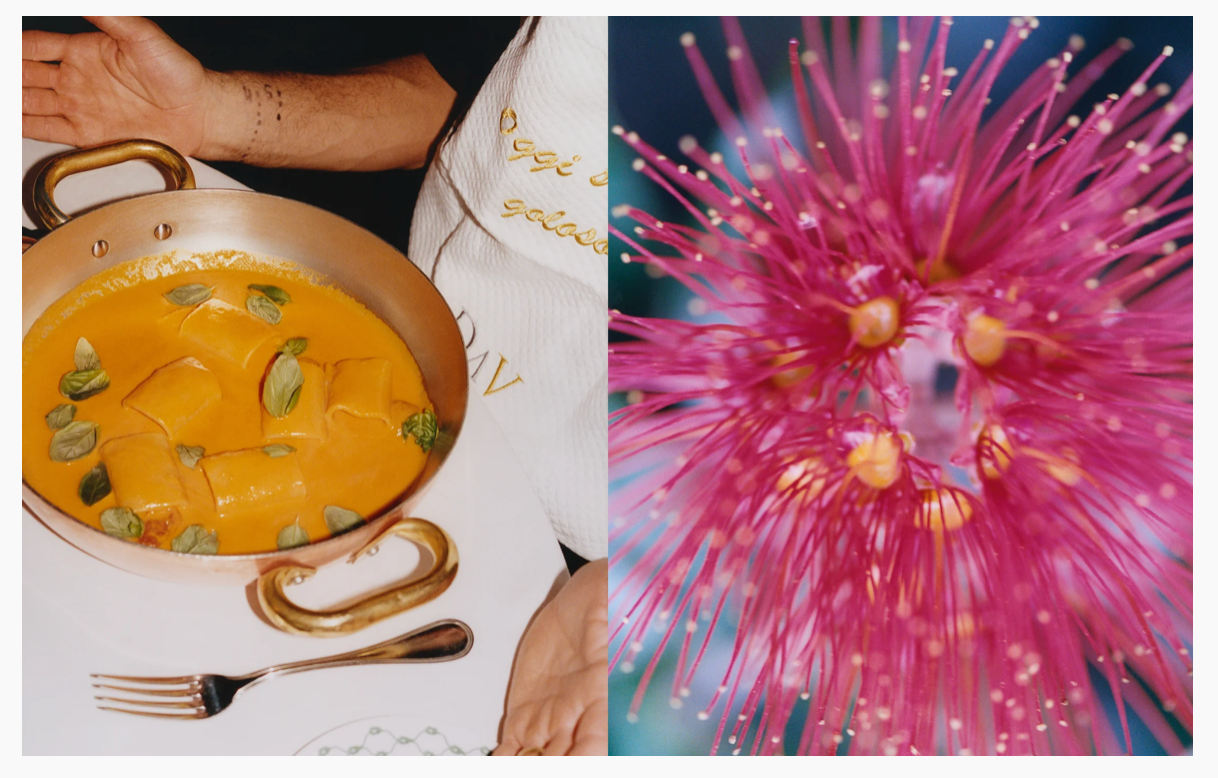 Apartamento Liguria Recipes and Wanderings