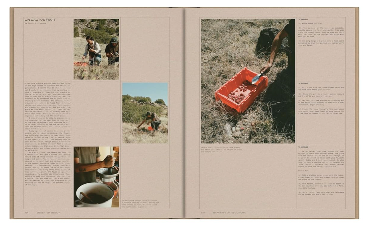 Desert By Design Hardcover