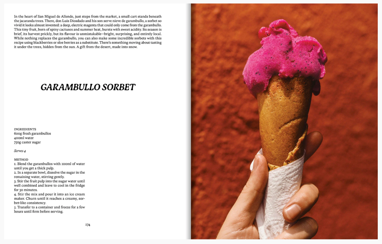 Apartamento EL Bajío Recipes and Wanderings Pre Order