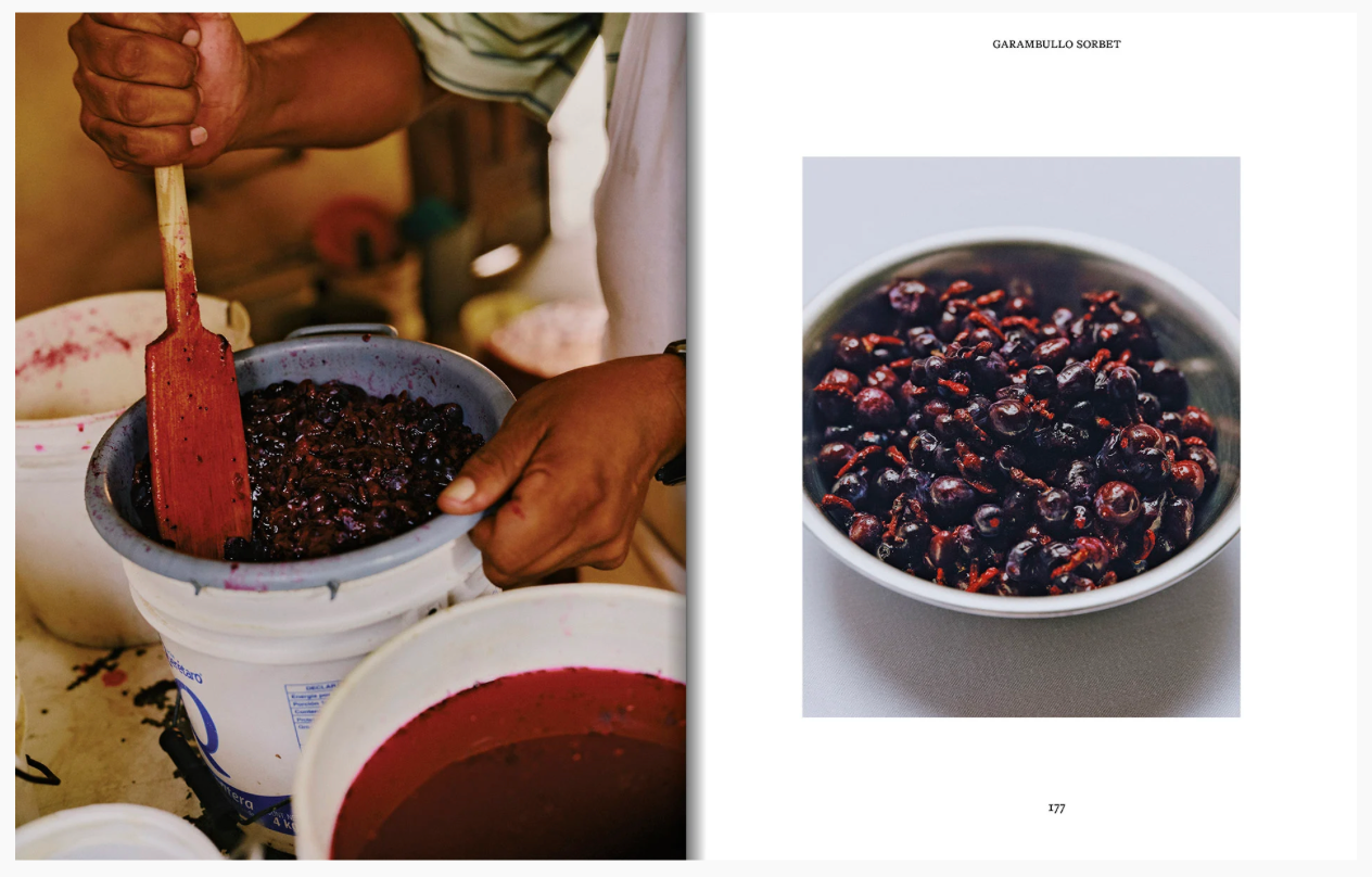 Apartamento EL Bajío Recipes and Wanderings Pre Order