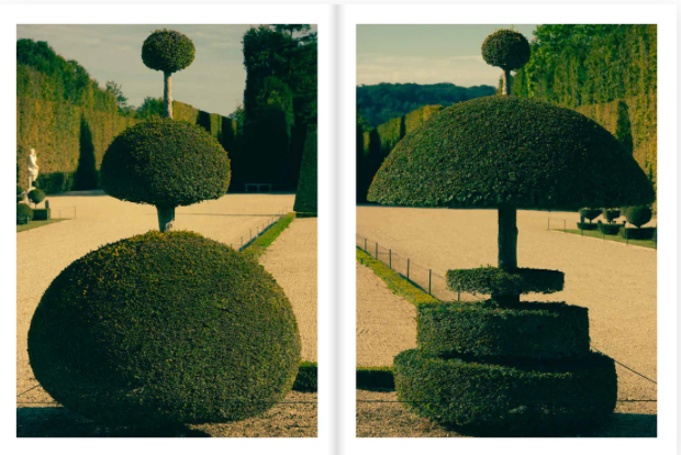 Distances by Romain Laprade Volume 2