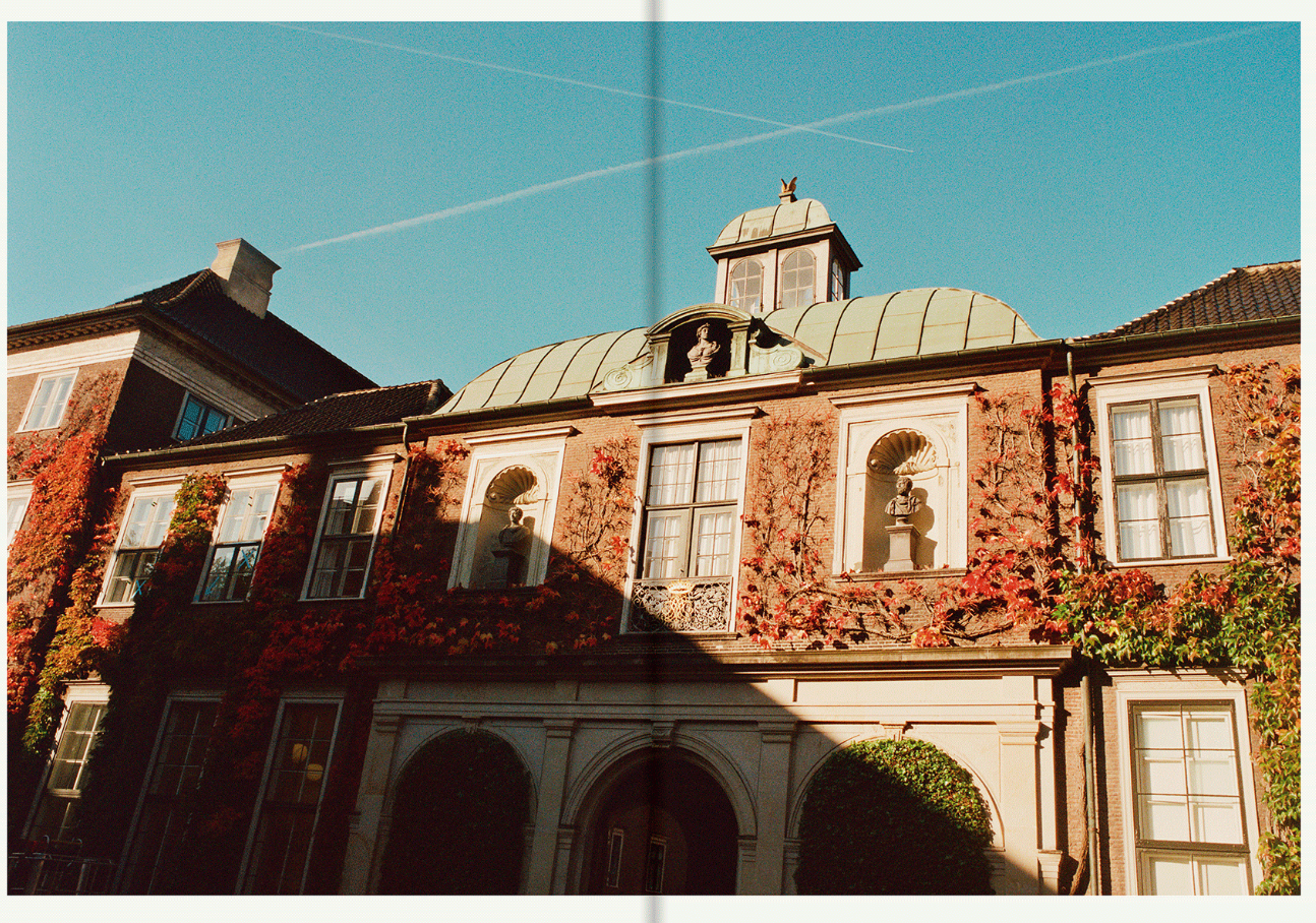 Apartamento Apollo: State of the art cooking and a party