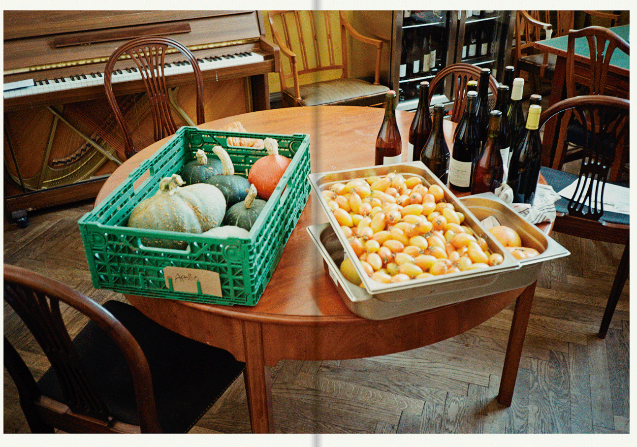 Apartamento Apollo: State of the art cooking and a party