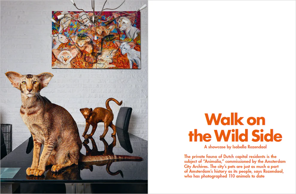 LOST iN Amsterdam Guide Book